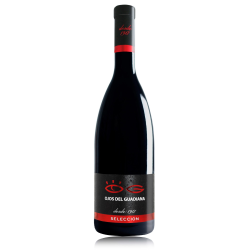 Ojos del Guadiana Seleccin 2016/19