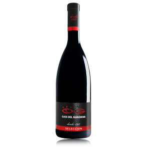 Ojos del Guadiana Seleccin 2016/19