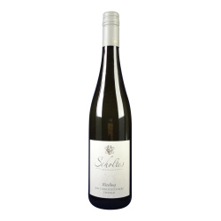 Scholtes Riesling vom Steilen Berg trocken 2023
