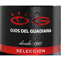 Ojos del Guadiana Seleccin 2016/19
