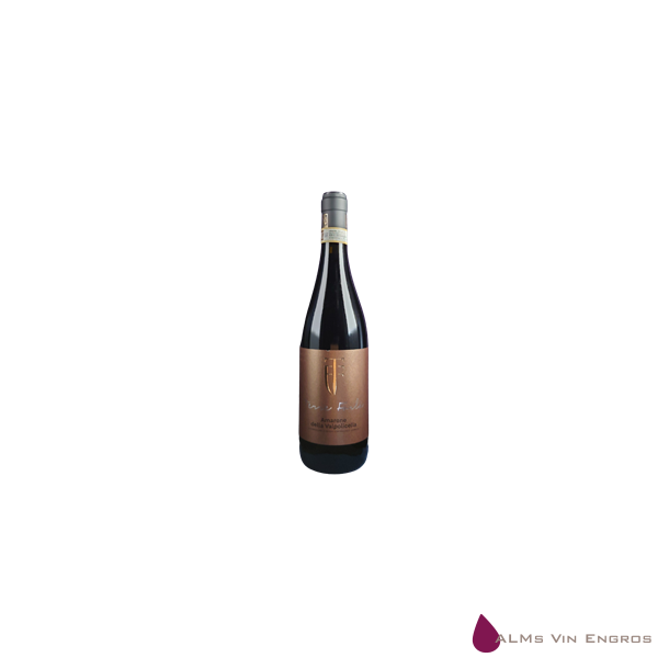 Terre Forl Valp. Class. Amarone 2015